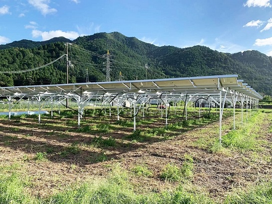 98.28KW - 兵庫県ソーラーシェアリング架台案件