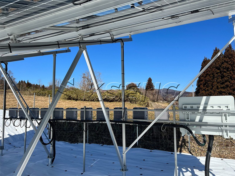 99KW - 福島県ソーラーシェアリング架台案件